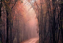 7连败耻辱出局!76人时隔8年再次无缘季后赛,三巨头沦为大笑话.