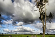 爱游戏：西甲：皇家马德里逆转击败巴伦西亚.